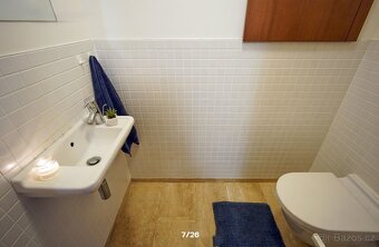 Nadstandartní Cihlový 2+k.k./L 60m2, Metro B Vysočanská - 4