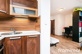 Pronájem bytu 1+kk, 35m2 - Brno - Staré Brno, ev.č. 01758 - 4