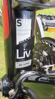 Giant - 4