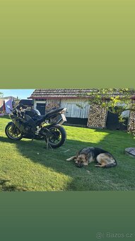 Kawasaki zx10r 2004 - 4