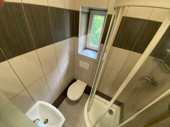 Pronájem bytu cihla 3+KK + 2xsklep, dílna, zahrada - 4