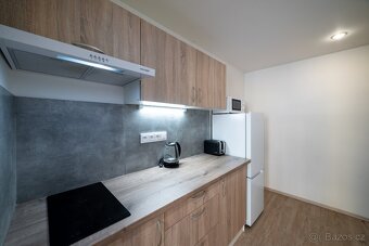 Pronájem — stylový byt 1kk pro pár ve Vinohradech - 4
