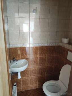 Pronájem bytu - 4