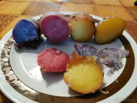 Celočervené brambory Mulberry Beauty - 4