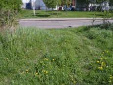 Prodej komerčního pozemku až 38 000 m² v Turnově - 4