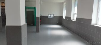 Pronájem skladu/paletové stání až 160 palet - 4
