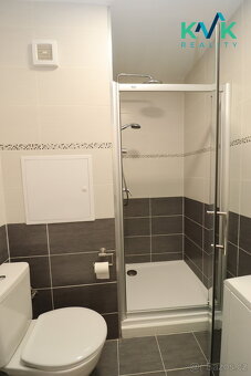 Pronájem garsoniéry, 22 m², po rekonstrukci, ul. Mánesova, S - 4