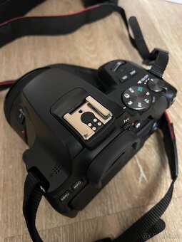 Canon EOS 250D + 18-55 IS STM + 50 STM f/1.8 - 4