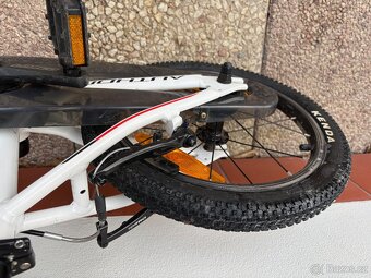 Author Record 16 - 4