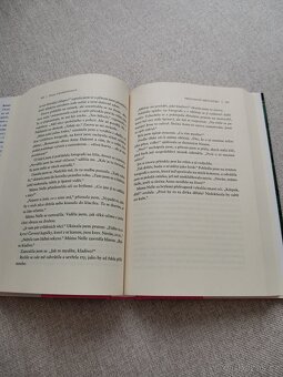 Prolhané městečko - Diane Chamberlain - 4