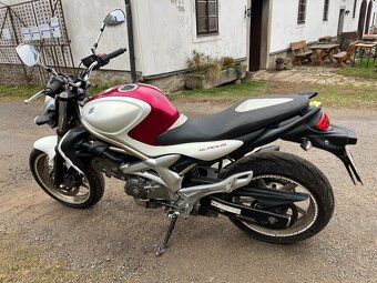 Suzuki Gladius 650 - 4