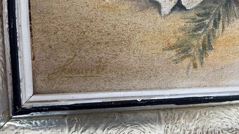 zátiší po dědovi prodám, Brno - 4