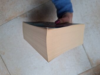 Kniha Dvůr křídel a zmaru - 4