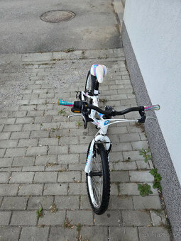 Dětské kolo SUPERIOR Paint 20 - 4