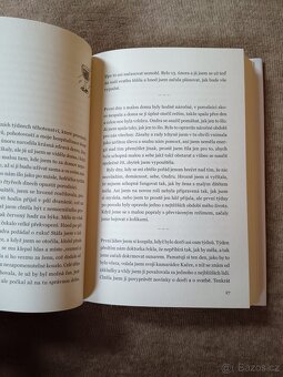 Zápisník alkoholičky - 4