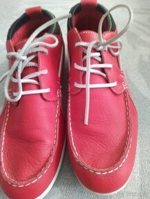 Puma - 4