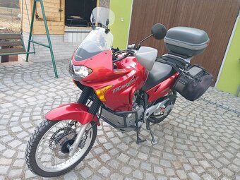 Transalp XL 650 V - 4