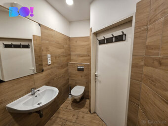 Pronájem bytu 1+kk, 36 m², Frýdek - Místek - 4
