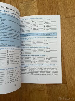 Opakujeme češtinu v 8. ročníku (2. díl) - 4