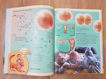 Pohlavní život - odpovědi na otázky - 4