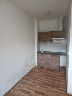 Pronájem bytu 1+KK - 4