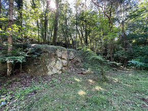 Malebný pozemek 2217 m2 u Prahy - Kamenný Přívoz - 4