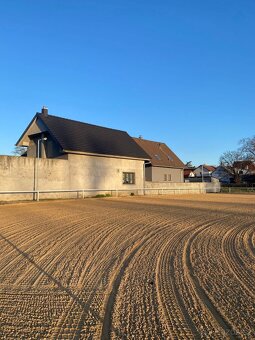 Ustájení koní- Neratovice/Mlékojedy - 4