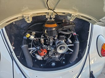VW Brouk 1963 - Herbie - 4