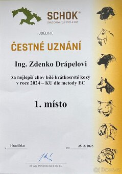 Koza "Česká bílá krátkosrstá". - 4