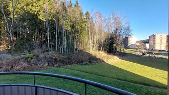 Dlouhodobý pronájem bytu 3+1 63 m² v Loučovicích - 4