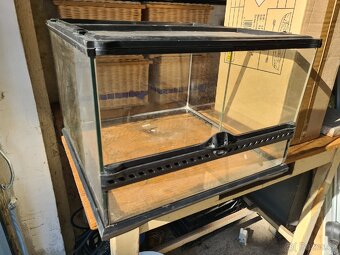 TERARIUM - 4