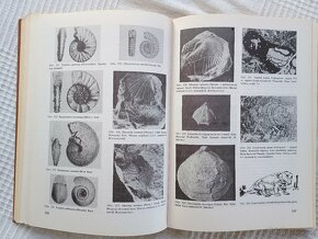 Stratigrafická a historická geológia, Mišík, Chlupáč, Cicha - 4