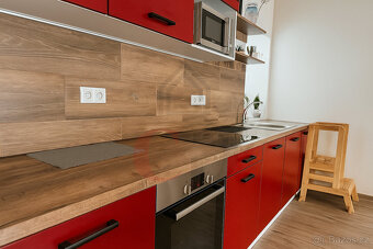 Prodej, bytu 3+KK+zahrada, Chrást - 4