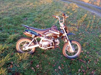 Pitbike 110 cm - 4