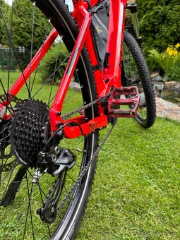 Kellys Tygon, Tayen- r10 2020 - 4
