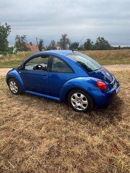 VW New Beetle - 4