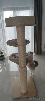 Škrabadlo rajen pets - 4