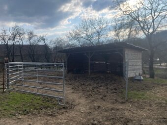Pastevní ustájení - 4