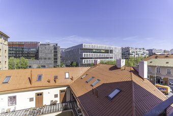 Prodej bytu 1+1, 53 m2, Praha - Karlín, - 4