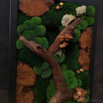 Mechový obraz / obraz ze stabilizovaného mechu - 4