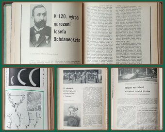 Časopis Lesnická práce - r. 47,62-71 (archiv) - 4