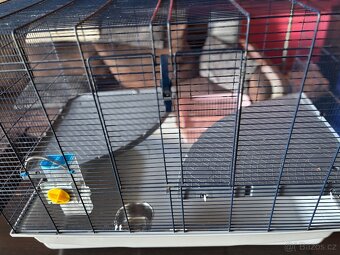 Klec Savic Freddy 2 - 4