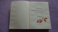 Knihy Ceský rok. - 4