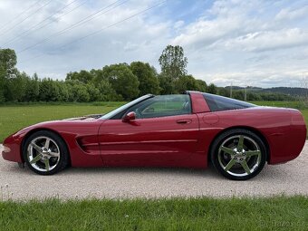 CORVETTE C5 TARGA 5.7 V8 - 4