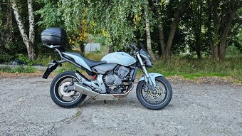 Honda Hornet CB600F (21 000Km) r.v. 2011 - 4
