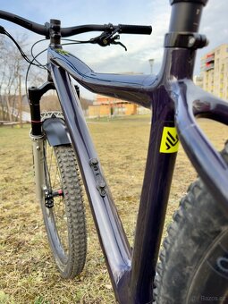 IBIS DV9 vel. L s karbonovými koly - 4