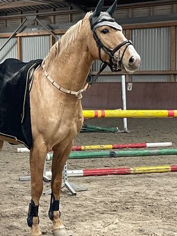 Připouštění - 4