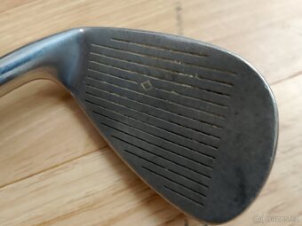 PW Golden Bear - 4