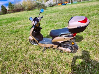 🛵Prodám Elektroskútr RACCEWAY® E-FICHTL® – světle zlatý mat - 4