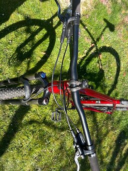 PELLS RAZER - 4
